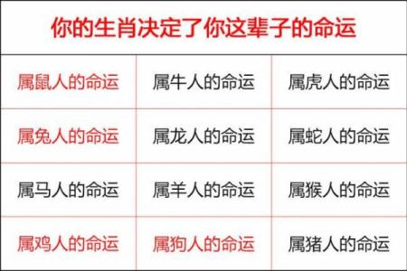 七岁命格揭秘：探讨七岁命理教给我们的智慧与人生启示