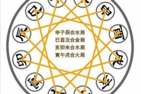 木猪命与哪些命相配？探寻最佳命理组合的秘密！