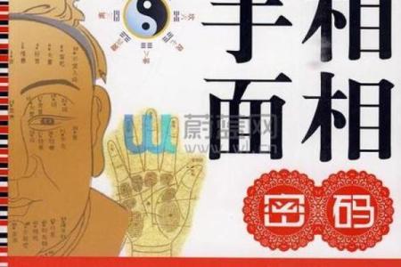 命运的密码：解读命理背后的奥秘与智慧