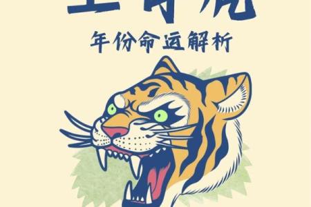 炉中火命的独特魅力与人生启示