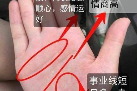 萍字在男性名字中的命运解析：生命的流动与智慧的象征