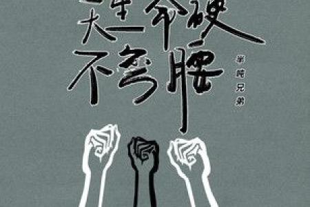 两兄弟命硬：逆境中的坚韧与坚持