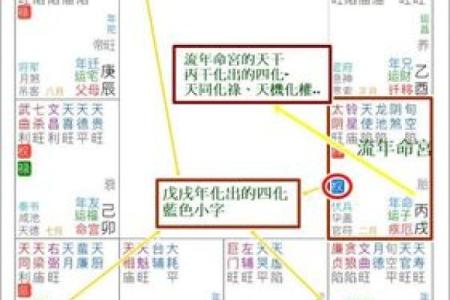 探究女命沐浴流年：命理与运势的奇妙交织