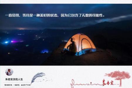 梅香之命：在命运的香气中绽放人生的芬芳