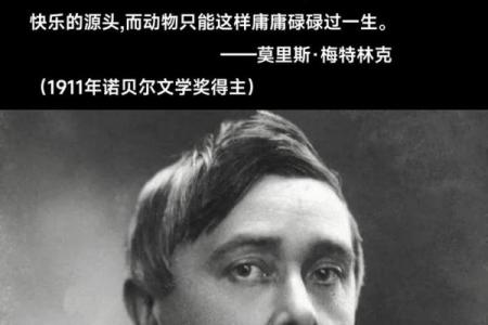 命人的意思解析：探寻命运与人生的奥秘