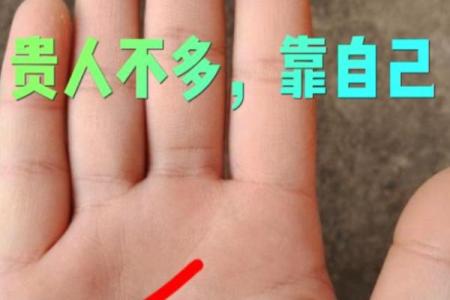 揭开手相的神秘面纱：通过手相了解命运的奥秘
