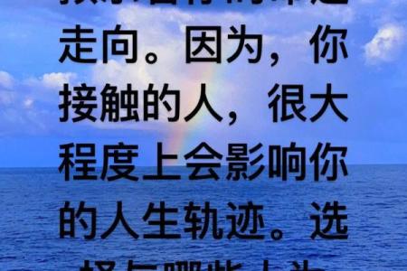 命运中的“命”：人生的方向与选择分析
