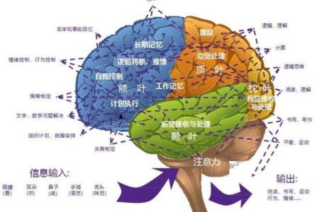男命三个官杀的奥秘与解析：命运的掌控之道