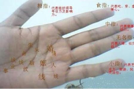 每个手指甲的秘密：解读指尖的命运与象征意义