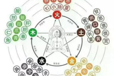 木命与火命：命理中的相生相克，探索生命的奥秘与能量