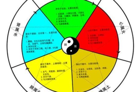 女性命理解析：3.2钱命的探索与启示