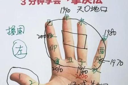 零三年天干地支揭秘：你的命运与生辰有何秘密？