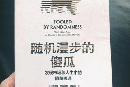 《命里多少钱：揭示命运与财富的关系》