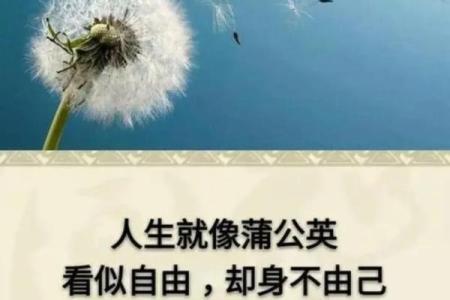 探秘廉贞命格：命理中的神秘领悟与人生之道