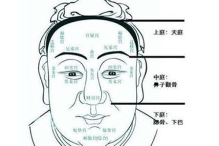 命理中的官运：探寻你的职场风水与人生方向