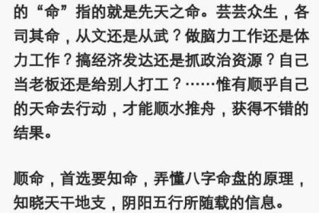 探索男命五两命的独特魅力与人生哲学