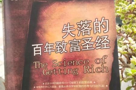 命比钱重，人生的真正财富与价值探讨