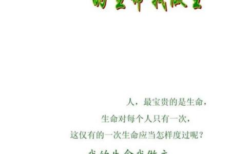 命的意义：在日常生活中寻找生命的真谛与价值