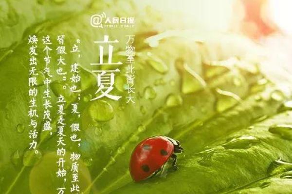 路旁土命立夏戴什么?教你找到专属的护身符! 路旁土命立夏戴什么?教你找到专属的护身符!