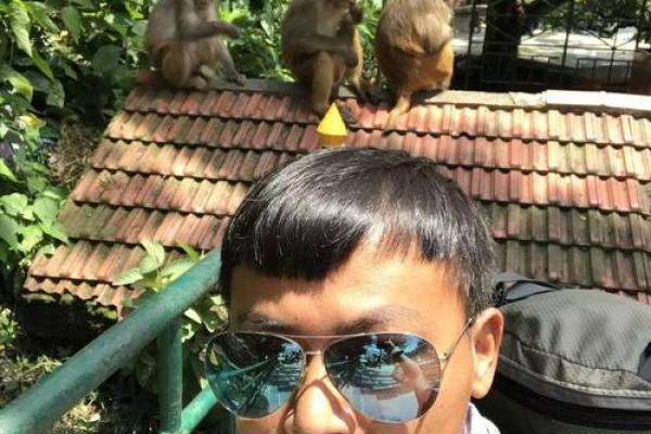 剖析九月出生的猴男命运:性格、事业与情感的奇妙旅程 剖析九月出生的猴男命运:性格、事业与情感的奇妙旅程