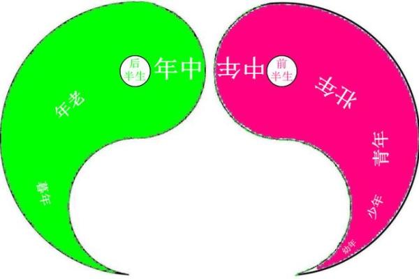 探秘命理:解析女命婚姻的奥秘与幸福密码 探秘命理:解析女命婚姻的奥秘与幸福密码