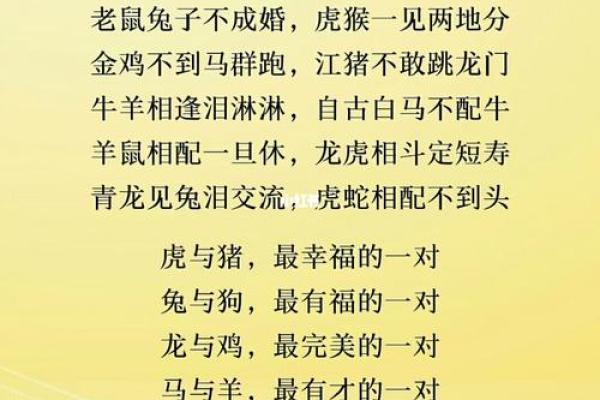 探讨“喝粥”的深意:从老人智慧看生活的本质 探讨“喝粥”的深意:从老人智慧看生活的本质