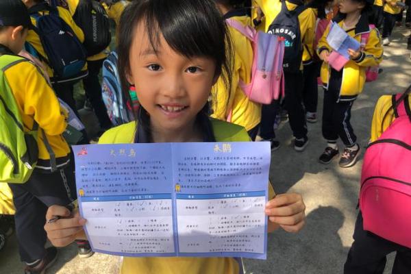 探寻女孩命带天罡的奥秘与人生哲学 探寻女孩命带天罡的奥秘与人生哲学