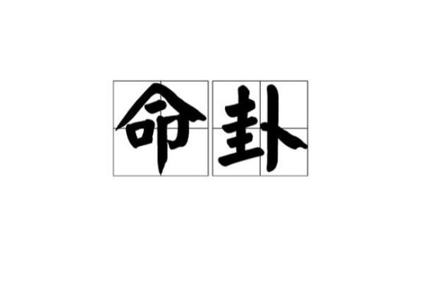 命卦坤:探索大地之母的智慧与力量 命卦坤:探索大地之母的智慧与力量
