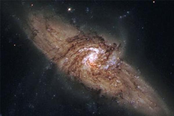 命带福德星:揭示你人生中的福气与机遇之星的秘密 命带福德星:揭示你人生中的福气与机遇之星的秘密