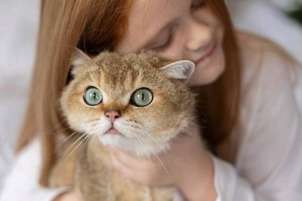 猫姐揭秘:为什么传说中猫有九条命? 猫姐揭秘:为什么传说中猫有九条命?