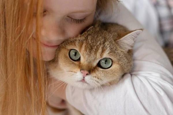猫姐揭秘:为什么传说中猫有九条命? 猫姐揭秘:为什么传说中猫有九条命?