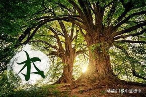 炉中火命:探寻五行中的热情与创造力 炉中火命:探寻五行中的热情与创造力