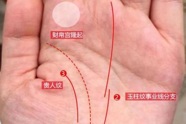 探秘马字的生辰八字,揭示命运的奥秘与人生轨迹 探秘马字的生辰八字,揭示命运的奥秘与人生轨迹