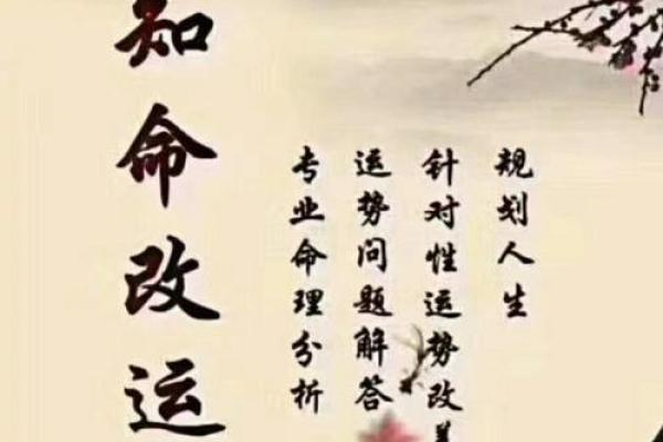 探秘女具血财旺相之命:揭示命理背后的深层含义与人生启示 探秘女具血财旺相之命:揭示命理背后的深层含义与人生启示