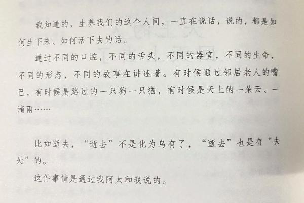 探索命格中的四个印象:人生命运的密码与启示 探索命格中的四个印象:人生命运的密码与启示