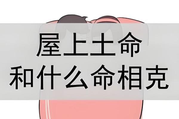 年土命与日木命的奇妙结合:命理解密与人生启示 年土命与日木命的奇妙结合:命理解密与人生启示