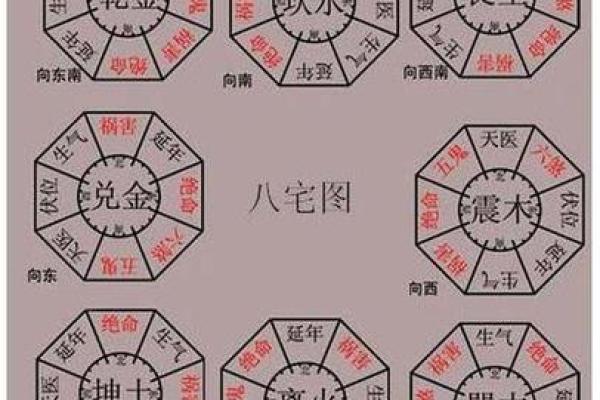 探秘命理学:东四命的深意与生活启示 探秘命理学:东四命的深意与生活启示