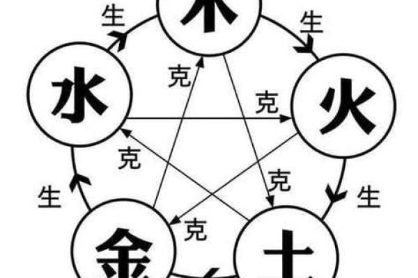 木命与命理相生的神秘关系探索 木命与命理相生的神秘关系探索