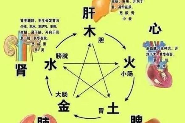 木命人五行缺什么?揭开五行之谜,助你追寻生命的平衡! 木命人五行缺什么?揭开五行之谜,助你追寻生命的平衡!