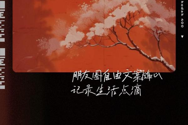 命里有我不油天,探寻人生中的命运与自由选择 命里有我不油天,探寻人生中的命运与自由选择