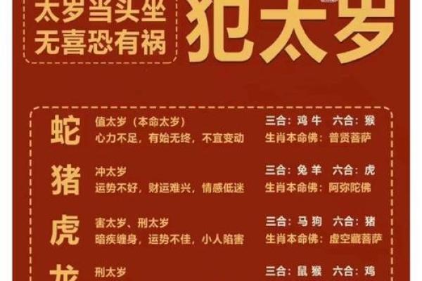 命理与生肖:揭示你的命中贵人与合适生肖的秘密 命理与生肖:揭示你的命中贵人与合适生肖的秘密