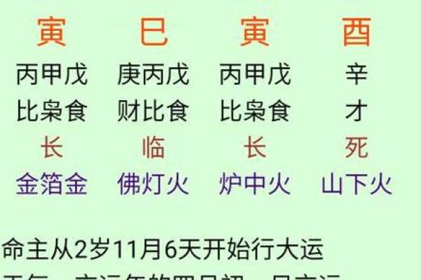 明年四月出生的孩子,属什么命?详细解析及命理影响 明年四月出生的孩子,属什么命?详细解析及命理影响