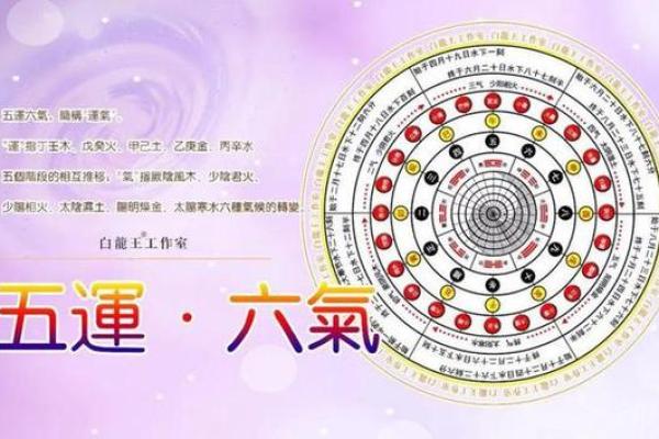 命的属性解析:如何通过年份判断命的五行属性 命的属性解析:如何通过年份判断命的五行属性