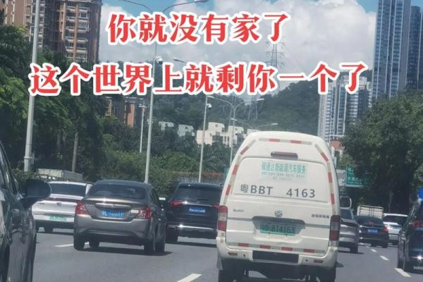 没有父母的人是什么命:孤独中的成长与追寻 没有父母的人是什么命:孤独中的成长与追寻