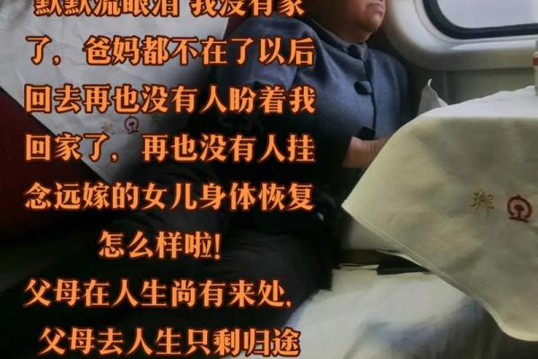 没有父母的人是什么命:孤独中的成长与追寻 没有父母的人是什么命:孤独中的成长与追寻