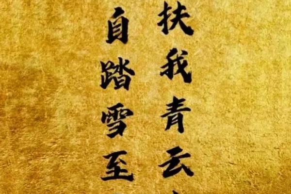 男孩命带七杀:探索命理中的神秘力量与人生机遇 男孩命带七杀:探索命理中的神秘力量与人生机遇