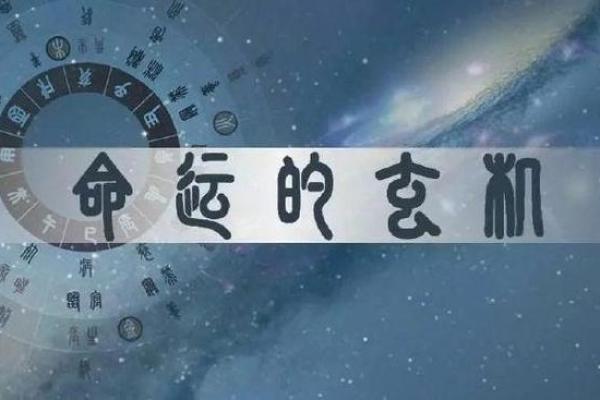 命弱与命硬:揭示你的命运密码与生活选择 命弱与命硬:揭示你的命运密码与生活选择