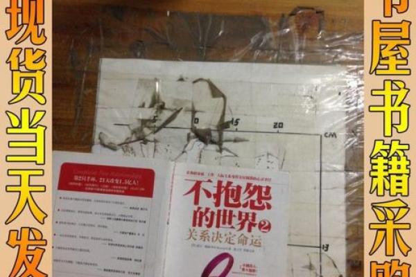 命运的桥梁:成语背后的深刻哲理与人生启示 命运的桥梁:成语背后的深刻哲理与人生启示