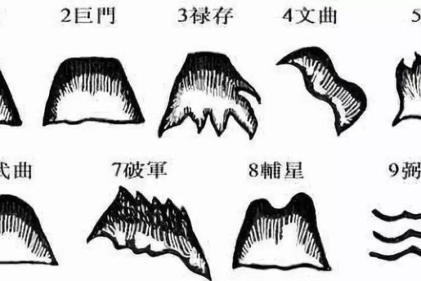 探索命理五行的奥秘:揭示阴阳背后的深刻智慧 探索命理五行的奥秘:揭示阴阳背后的深刻智慧