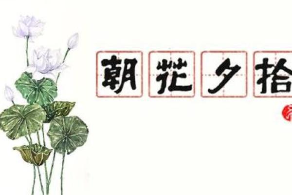 炉中火命者的网名选择与性格特征分析 炉中火命者的网名选择与性格特征分析
